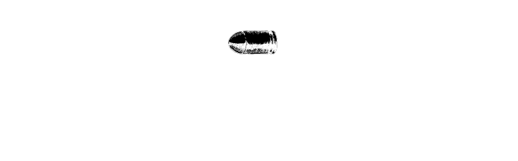 ブランドロゴ